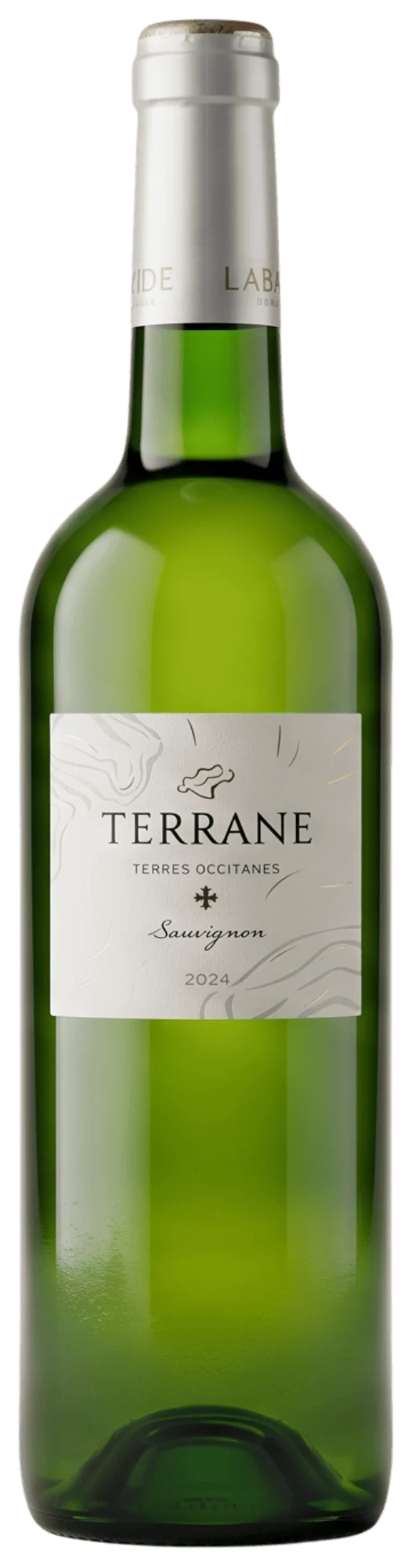 Terrane Sauvignon White Comte Tolosan 2024