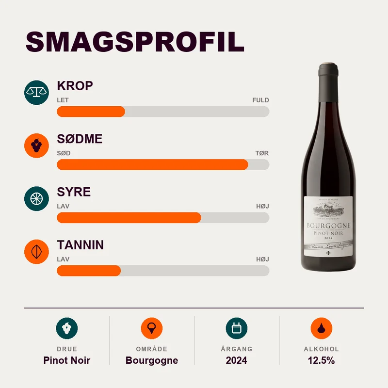 Maison Louis Verjon Bourgogne Pinot Noir 2024