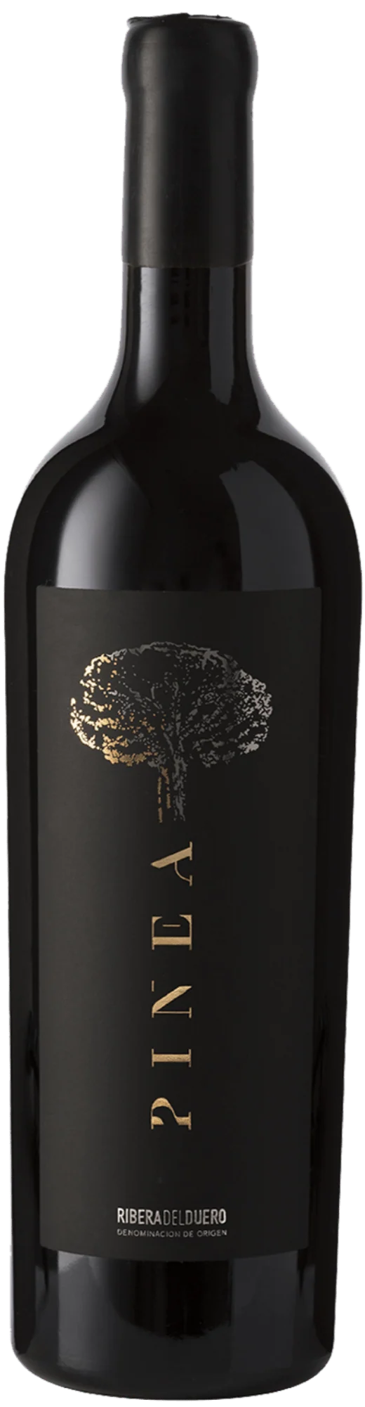Pinea Black 2019