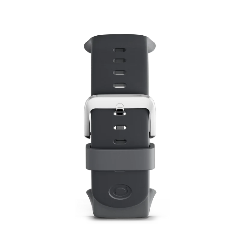 Adventurer Buckle Band Strap