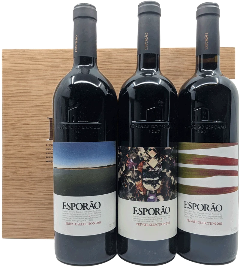 Conjunto Esporao Vertical (14/16/19)