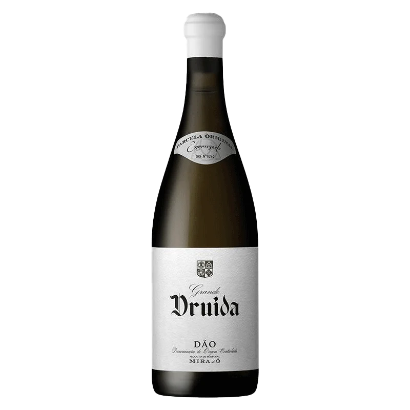 Grande Druida Encruzado Branco 2023