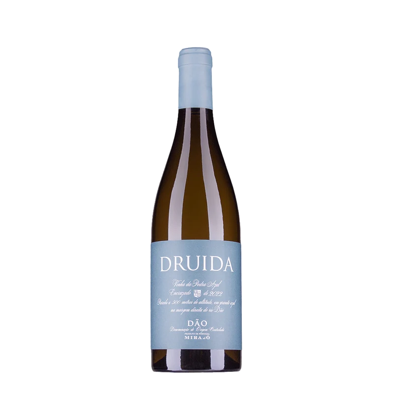 Druida Encruzado Vinha Da Pedra Azul Branco 2024