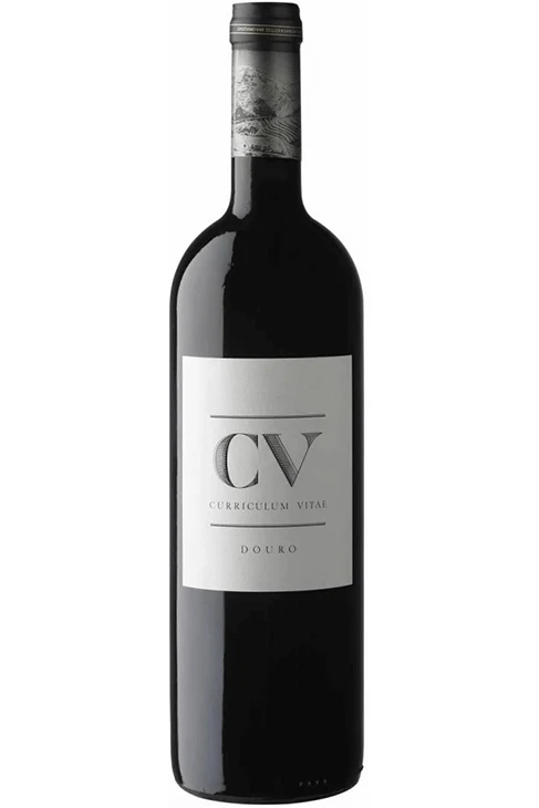 Cv Curriculum Vitae Tinto 2021
