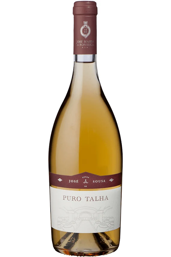 José De Sousa Puro Talha Branco 2015