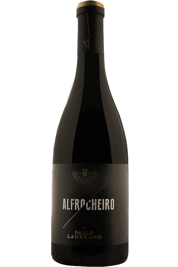 Paulo Laureano Alfrocheiro Tinto 2018