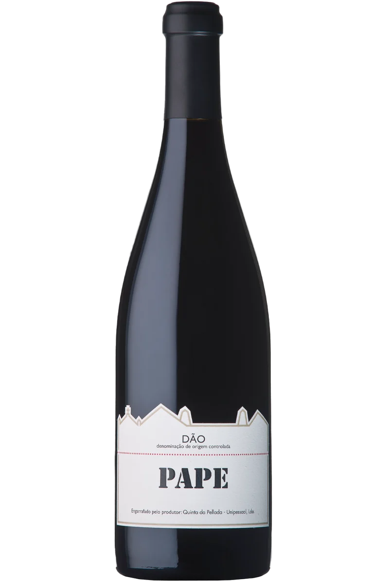 Pape Tinto 2019