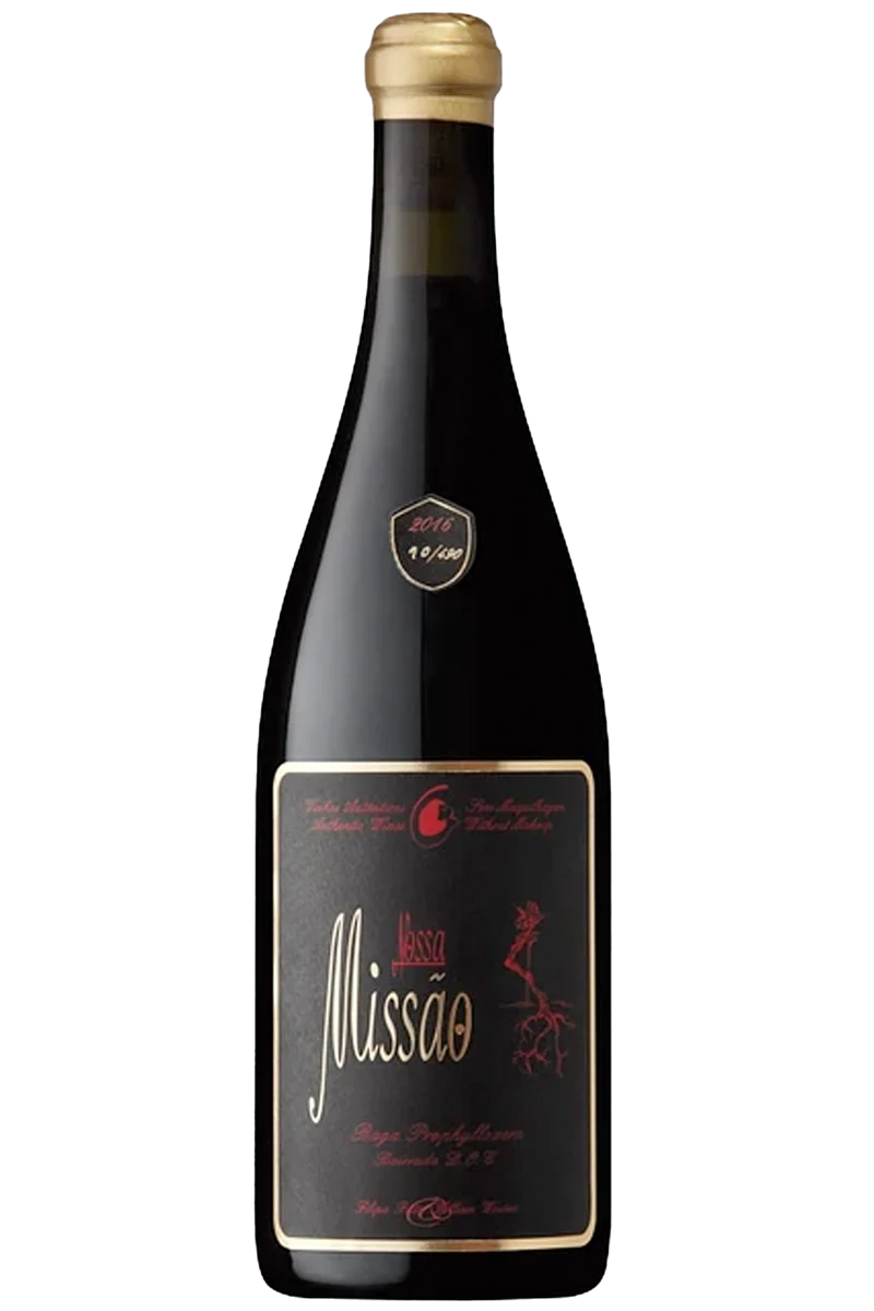 Filipa Pato Missão Tinto 2019