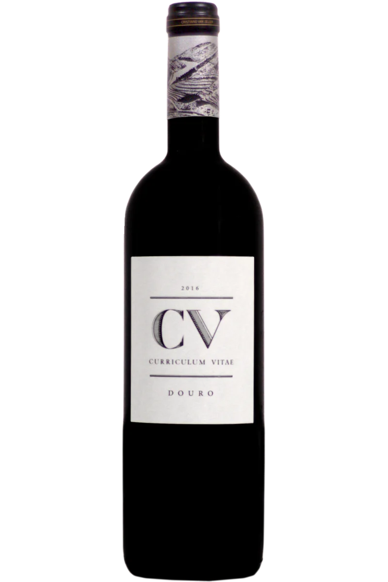 CV Curriculum Vitae Tinto 2016