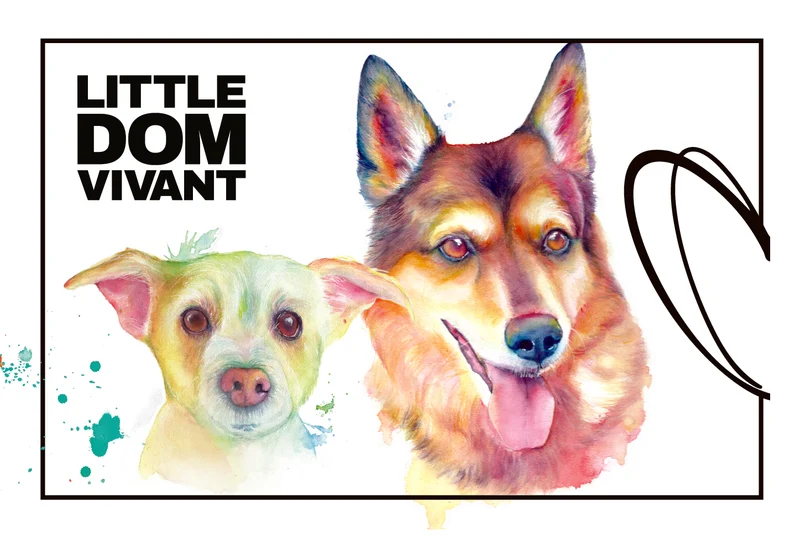 2023 Little Dom Vivant Chardonnay