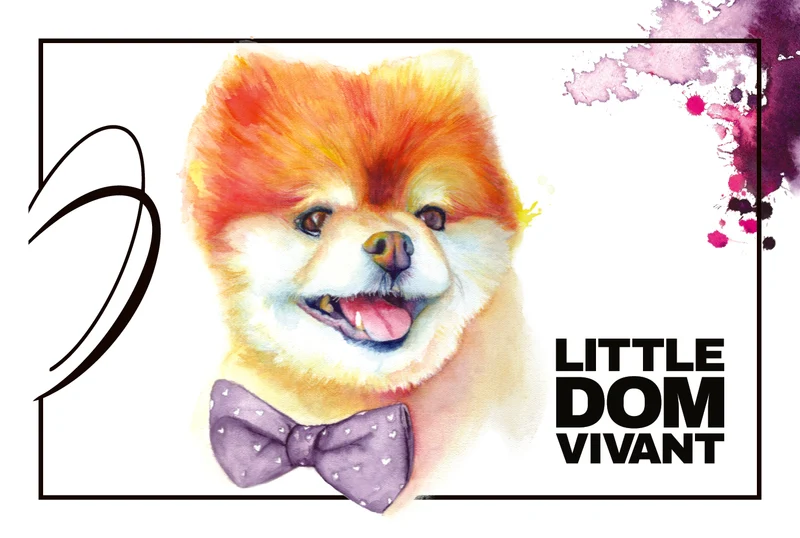 2023 Little Dom Vivant Cabernet Sauvignon