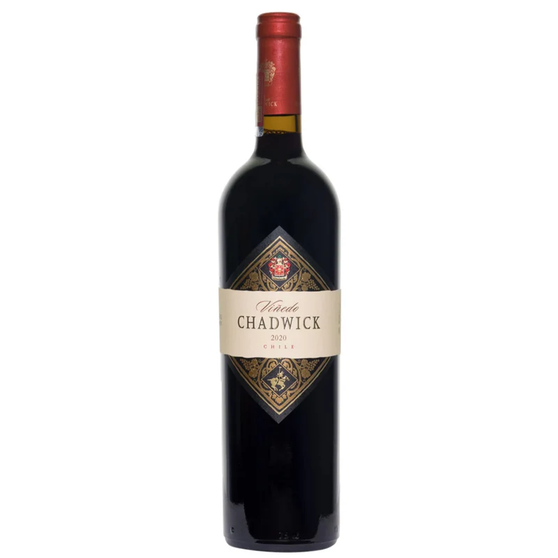 Vinedo Chadwick Cabernet Sauvignon Puente Alto 2020