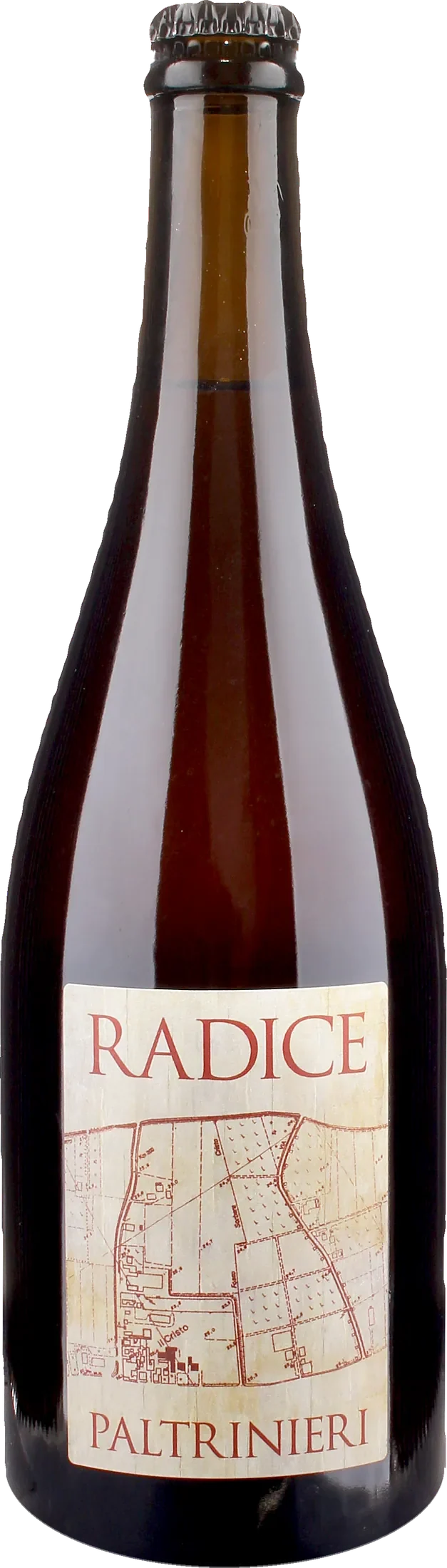 Paltrinieri Lambrusco Radice 2025