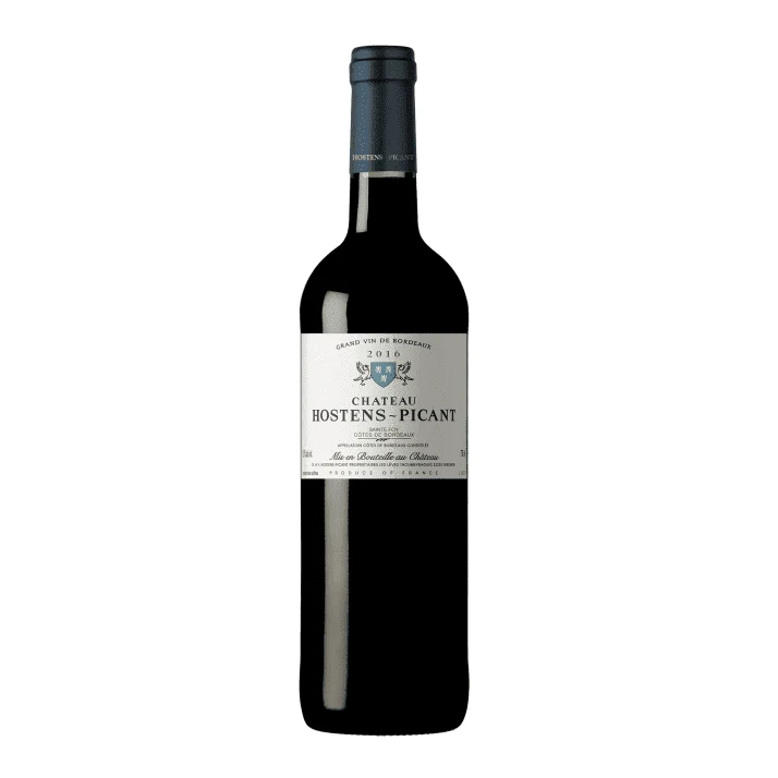 Chateau Hostens Picant Sainte Foy Bordeaux 2016