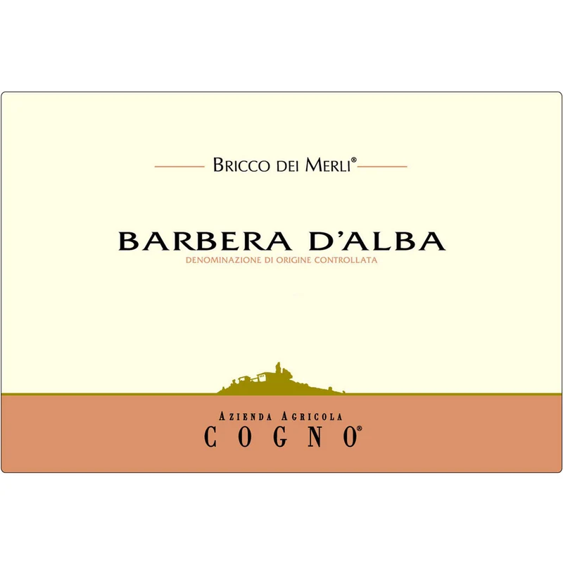 Elvio Cogno Bricco Dei Merli Barbera D'Alba 750ml