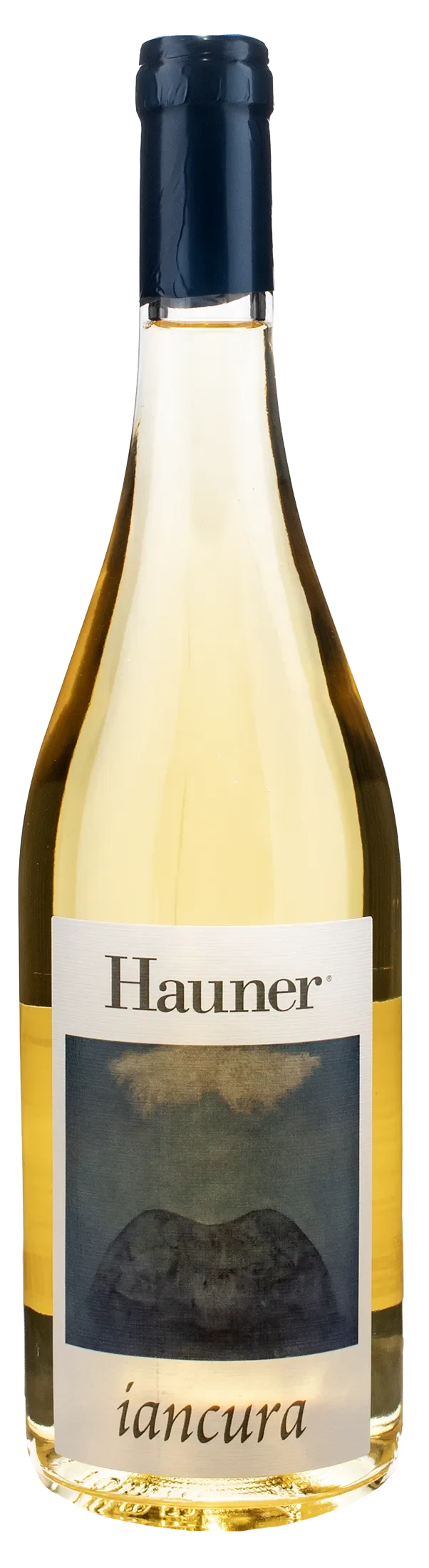 Hauner Iancura 2025