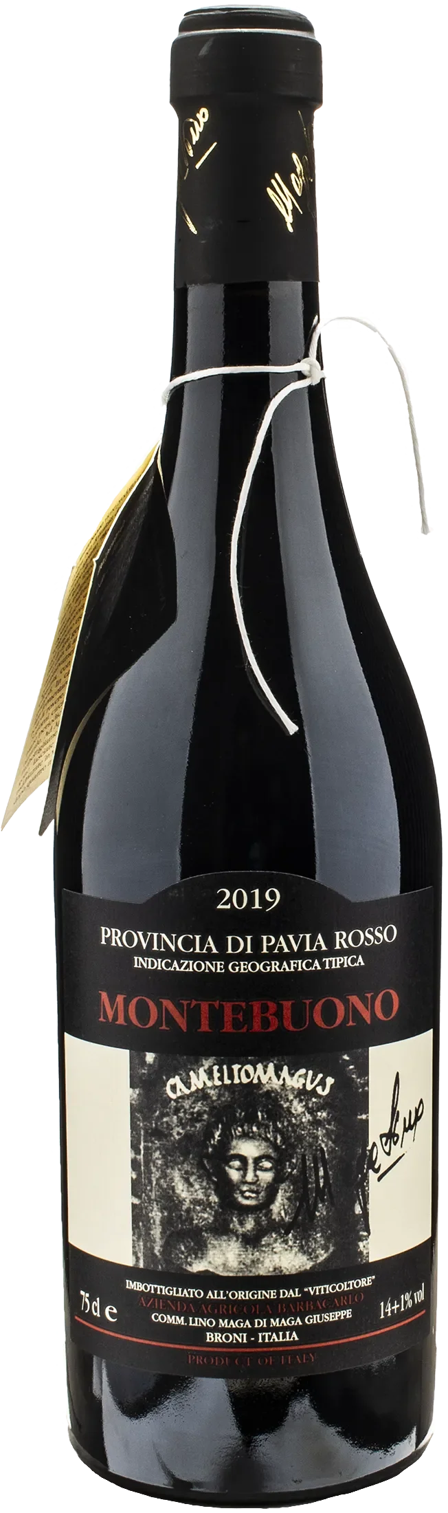 Lino Maga Montebuono 2019