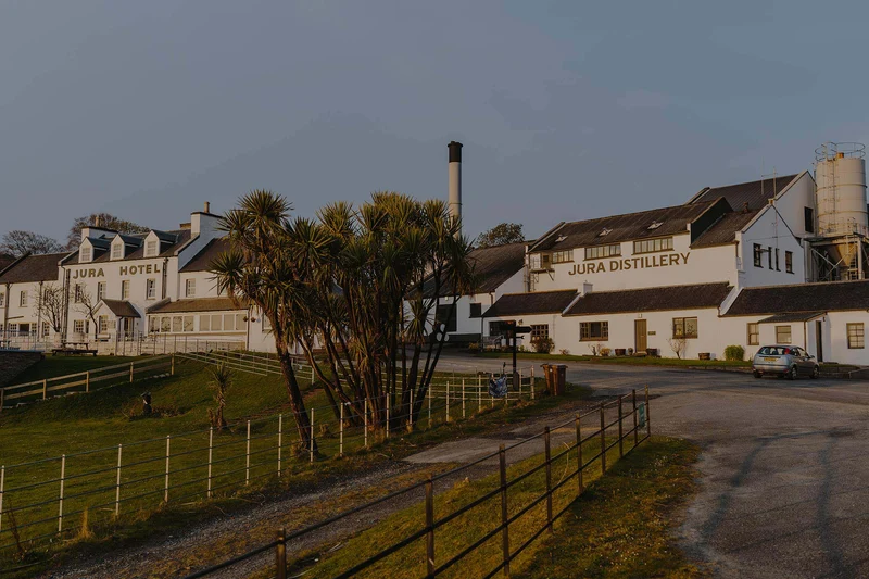 Whisky-Online 2022 Burns Night Virtual Tasting | Fettercairn, Dalmore & Jura