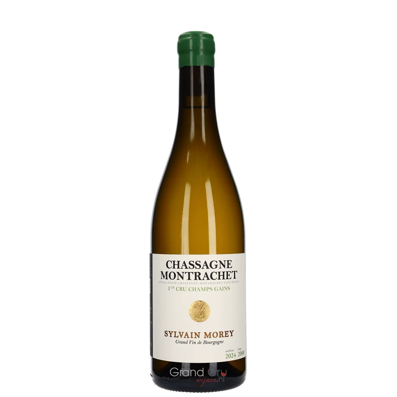 2024 Domaine Sylvain Morey Chassagne-Montrachet 1er Cru Champs-Gains Blanc
