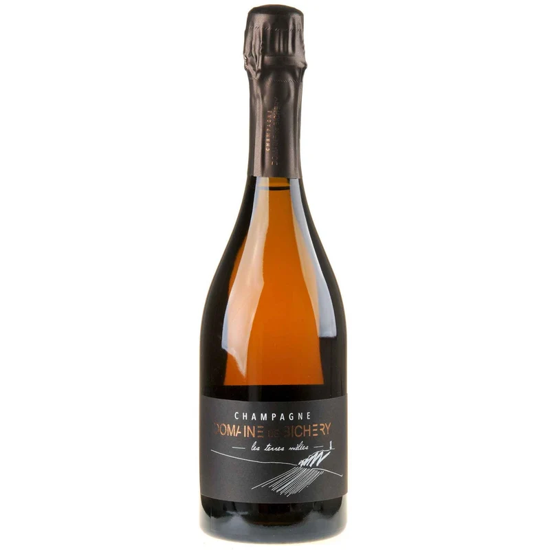 Domaine de Bichery Champagne Les Terres Mêlées Brut Nature Bio 2022 white