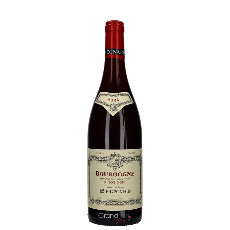 2024 Regnard Bourgogne Pinot Noir