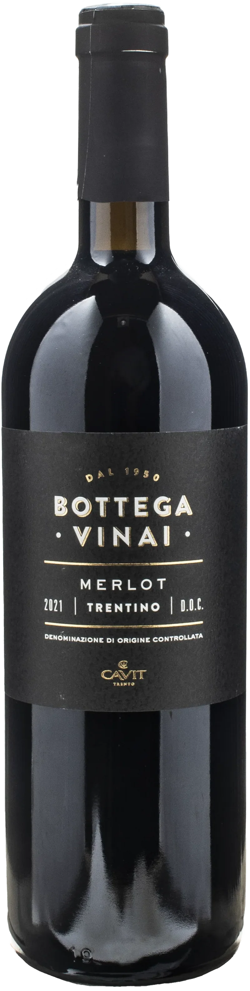Bottega Vinai Merlot Trentino 2021