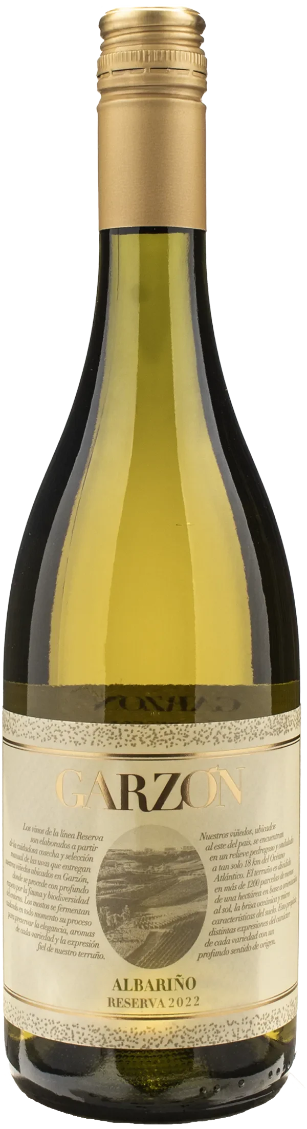Bodega Garzon Albarino Reserva 2022
