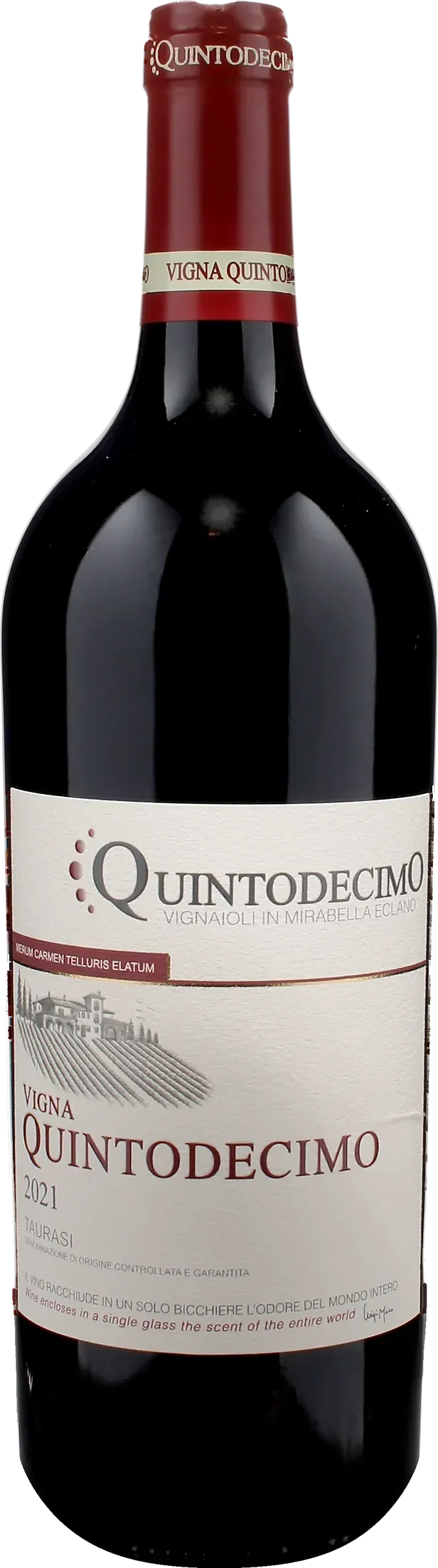 Quintodecimo Taurasi Vigna Quintodecimo 2021