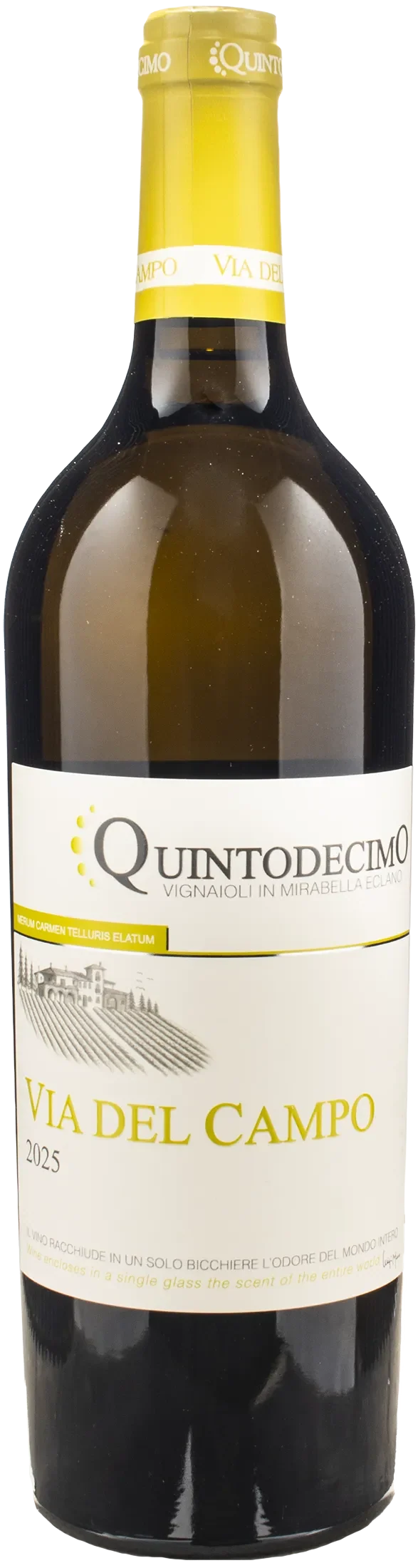 Quintodecimo Irpinia Falanghina Via del Campo 2025