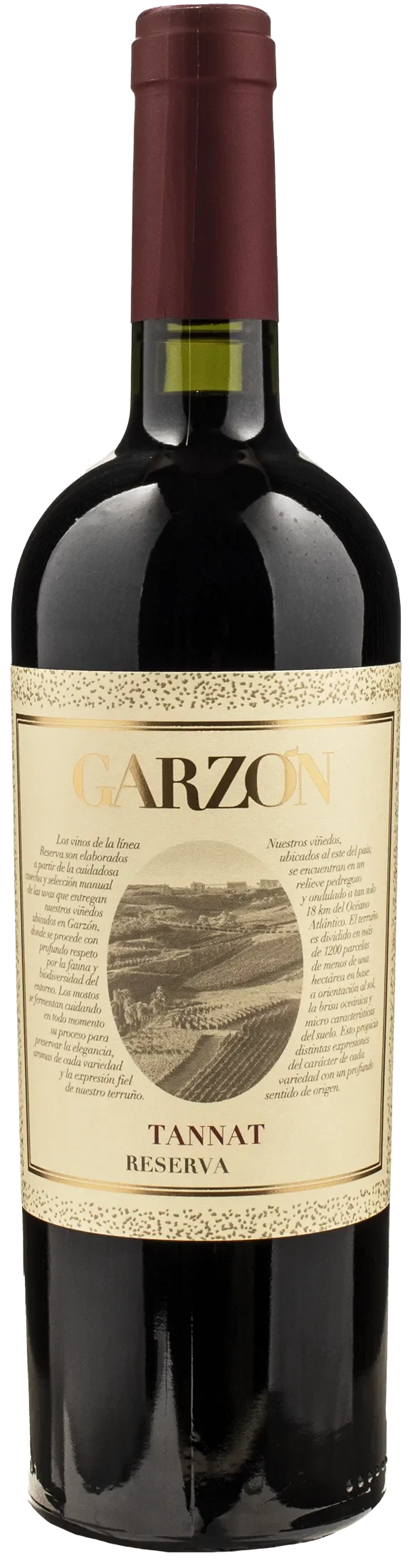 Bodega Garzon Tannat Reserva 2021