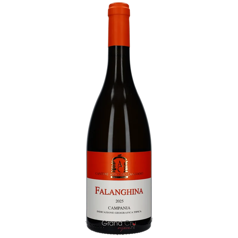 2025 Antonio Caggiano Falanghina Campania