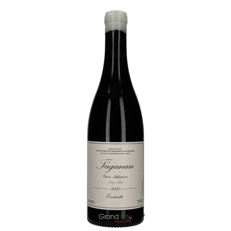 2024 Envinate Taganan Tinto