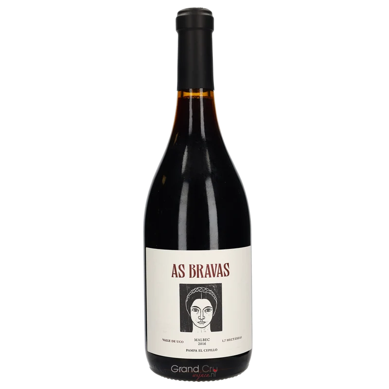 2016 El Enemigo As Bravas Pampa El Cepillo Malbec