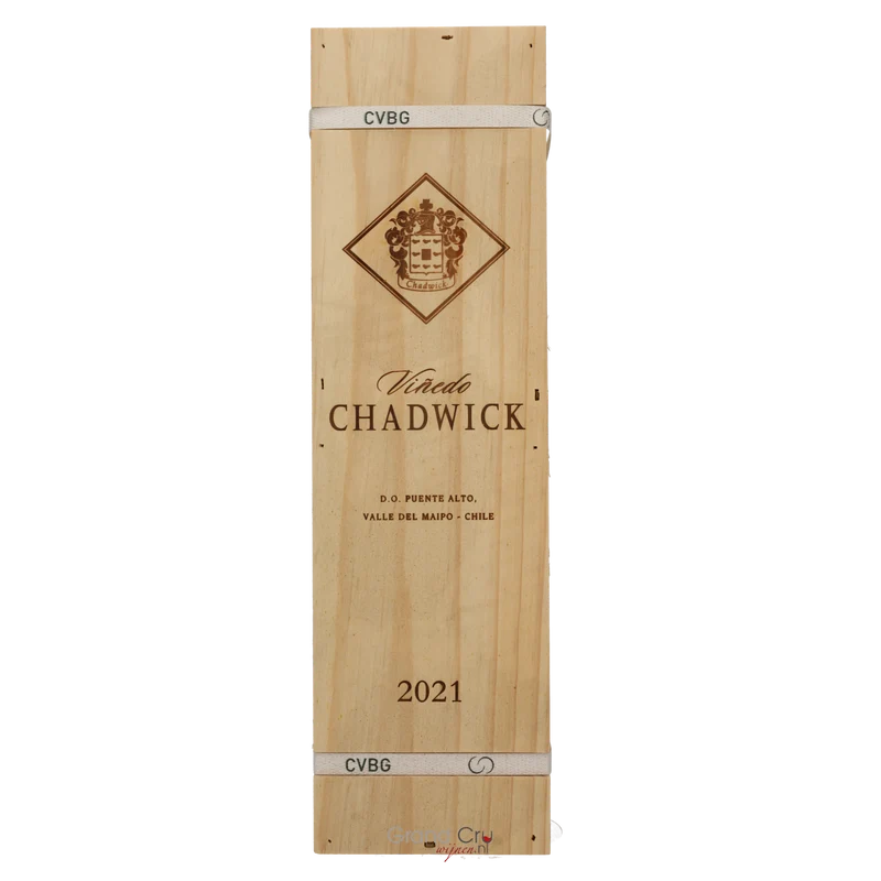 2021 Vinedo Chadwick Magnum