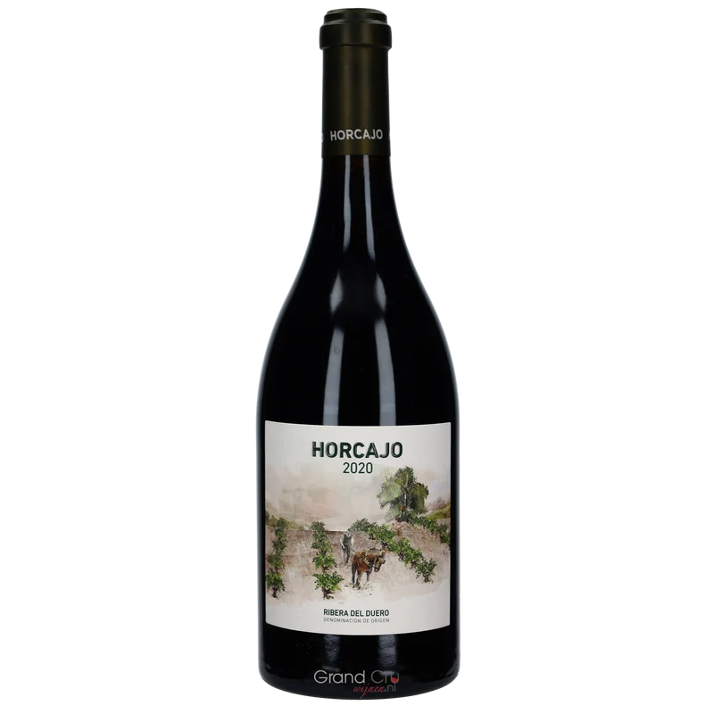 2020 CEPA 21 Horcajo