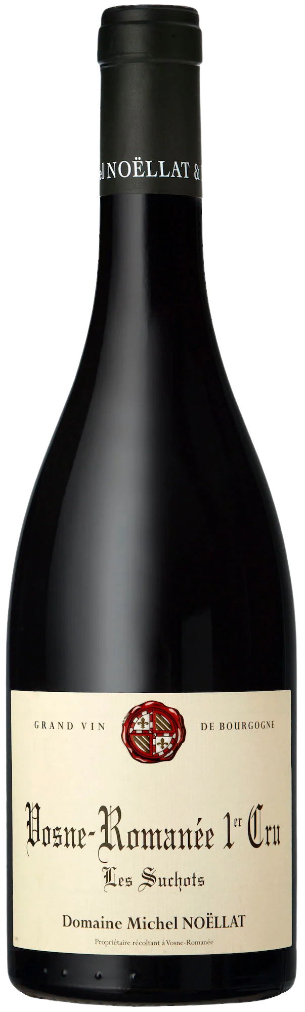 2017 Domaine Michel Noëllat Vosne-Romanee 1er Cru Les Suchots Magnum