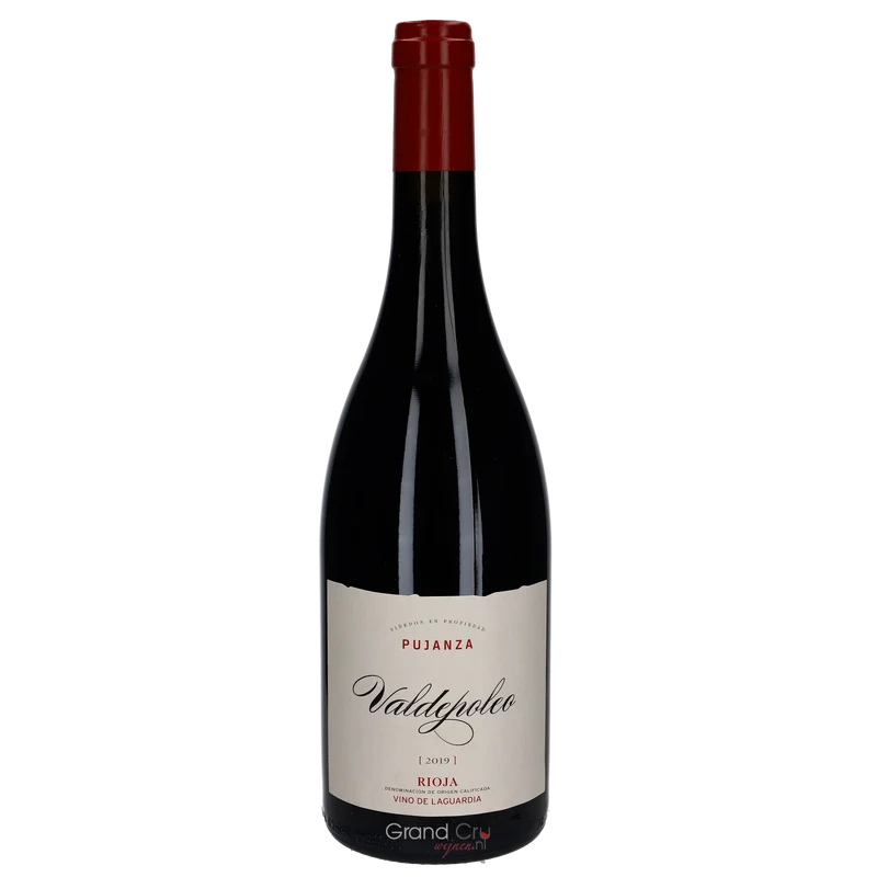 2019 Pujanza Finca Valdepoleo