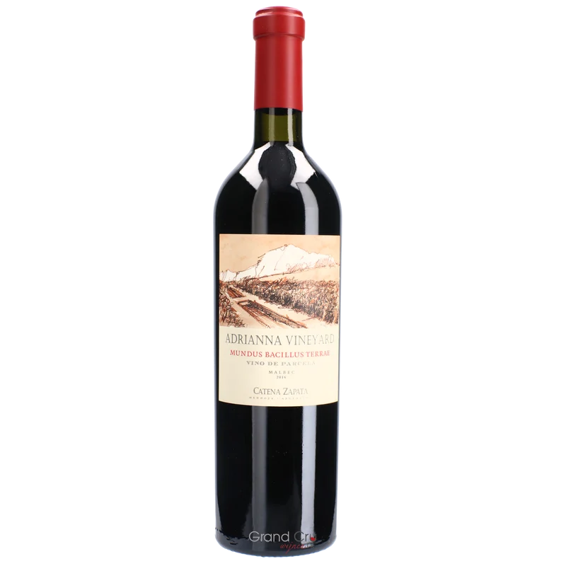 2016 Bodegas Catena Zapata Adrianna Mundus Bacillus Terrae