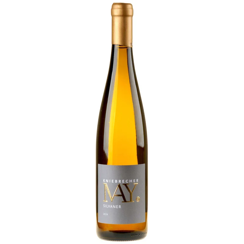 Weingut Rudolf May Silvaner Kniebrecher 2024 white