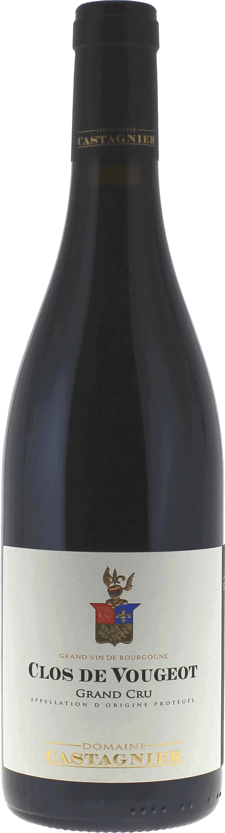Clos De Vougeot Grand Cru Domaine Castagnier, 2021