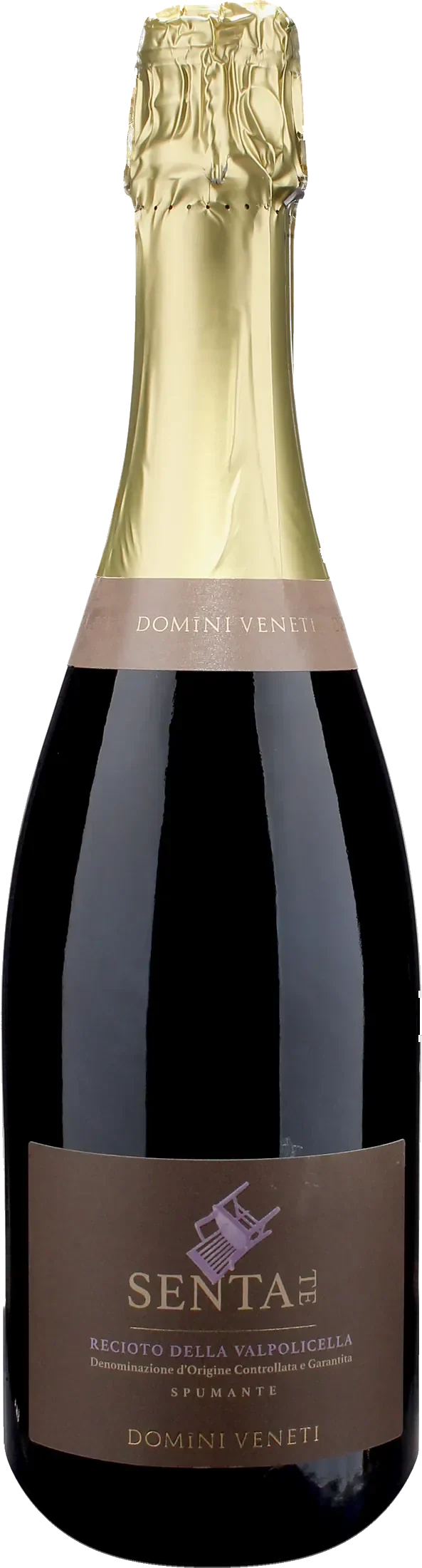 Domini Veneti Recioto della Valpolicella Sentate Spumante Dolce 2024