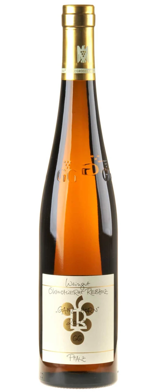 Weingut Ökonomierat Rebholz Riesling Ganz Horn Großes Gewächs 2023 white