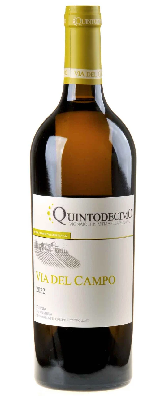 Quintodecimo Falanghina Via Del Campo 2022 white