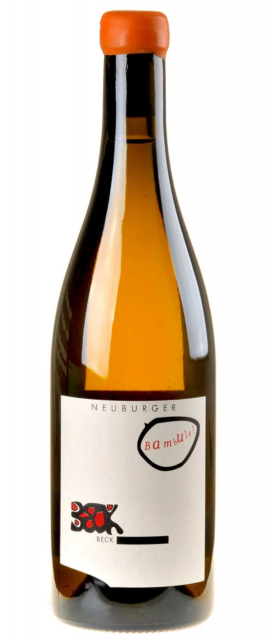 Judith Beck Neuburger Bambule Bio 2019 white