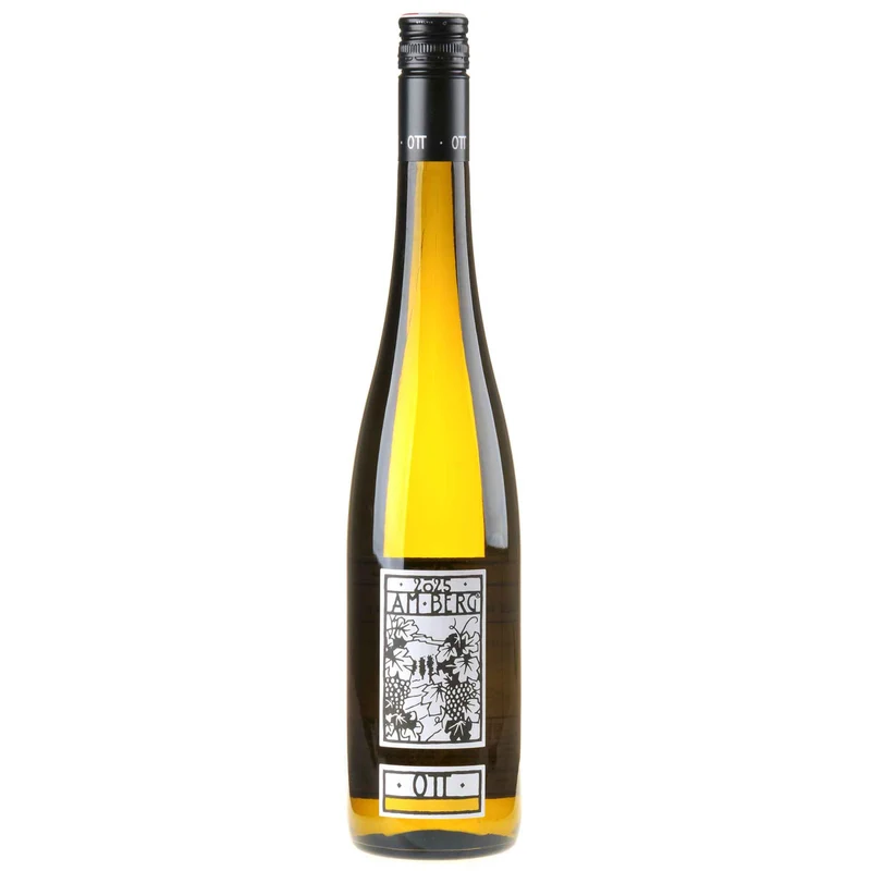 Bernhard Ott Grüner Veltliner am Berg Bio 2025 white