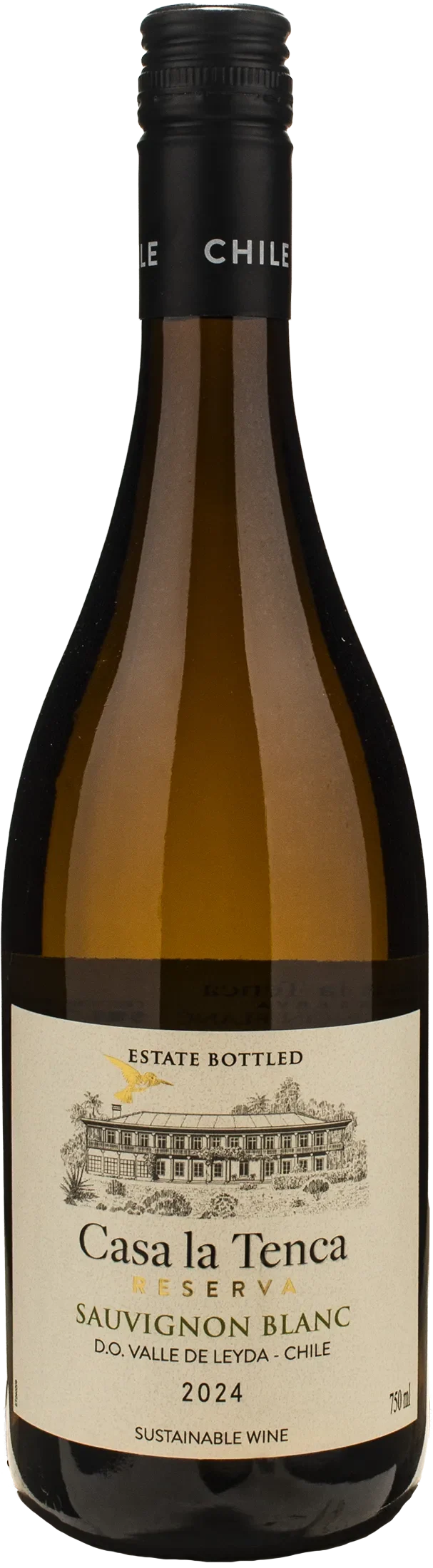 Casa La Tenca Sauvignon Blanc Reserva 2024