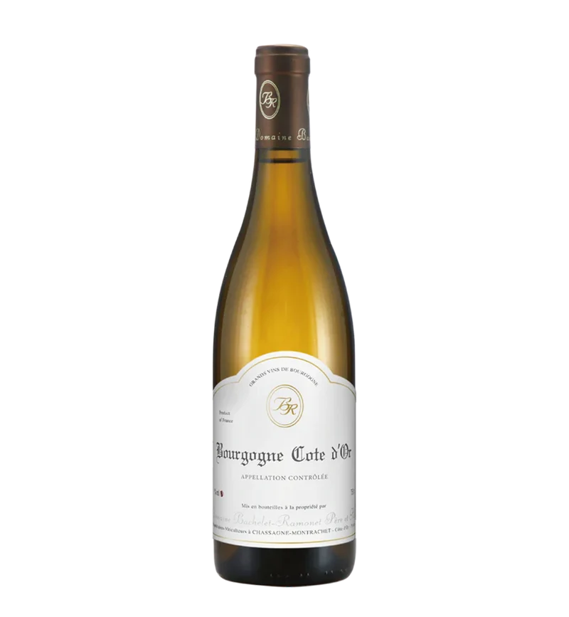 Bachelet-Ramonet Bourgogne Blanc 2023