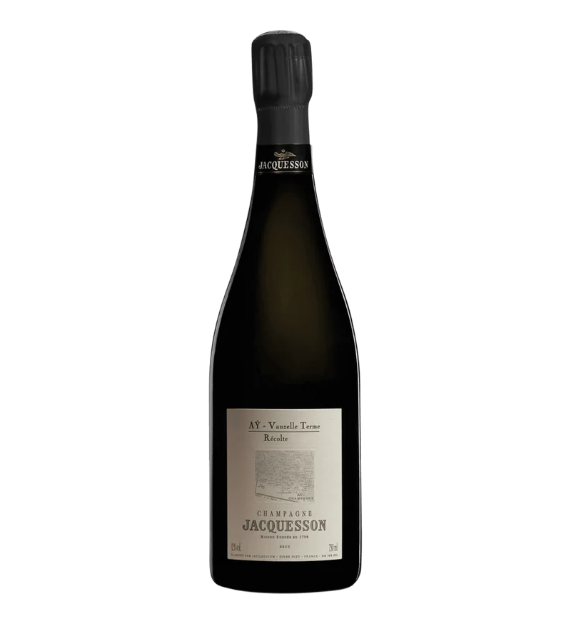Jacquesson Vauzelle Terme Extra Brut Récolte, Aÿ 2009 Magnum