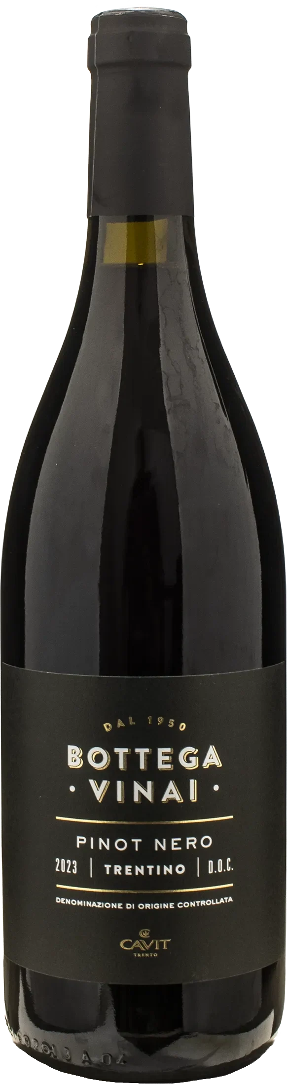 Bottega Vinai Pinot Nero Trentino 2023